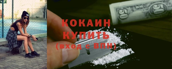прущие грибы Балабаново