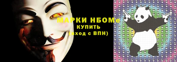 прущие грибы Балабаново