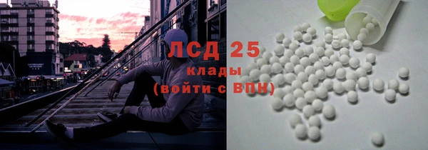 прущие грибы Балабаново