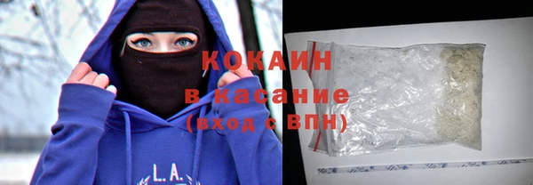 прущие грибы Балабаново
