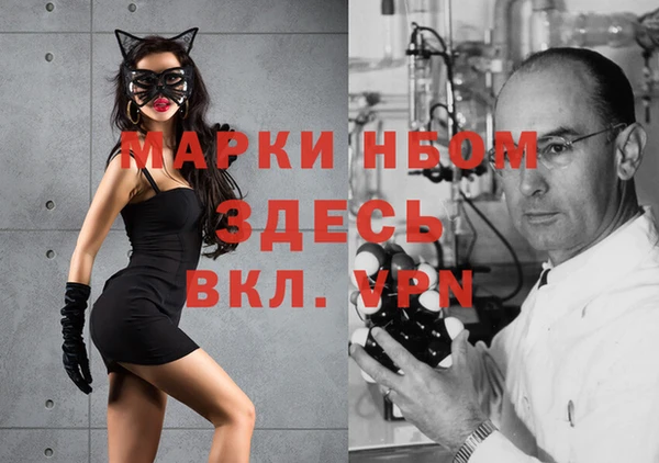 прущие грибы Балабаново