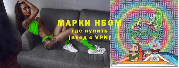 прущие грибы Балабаново