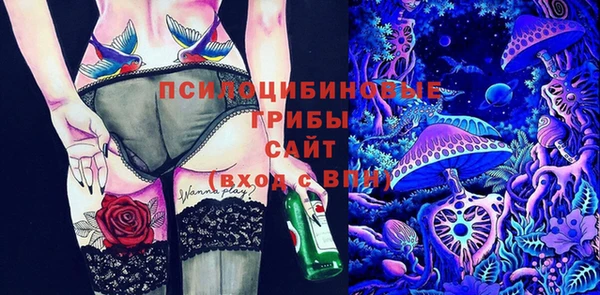 прущие грибы Балабаново