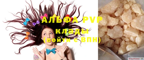 прущие грибы Балабаново